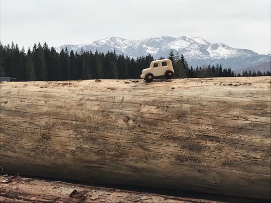 Wooden Car - Off Road