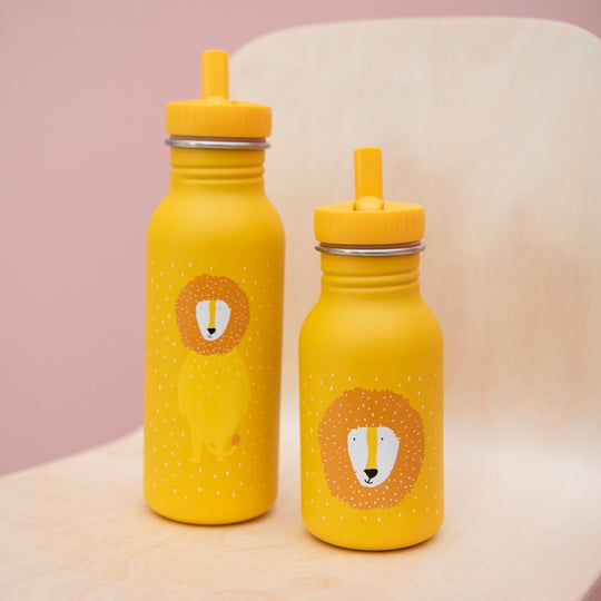 Stainless Steel Bottle 500 ml - Mr Lion