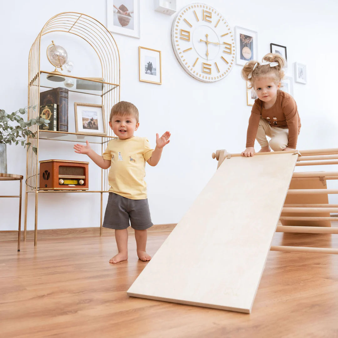 Ette Tete SIPITRI® 2 Segment Climbing Triangle With a Sliding/Climbing Ramp