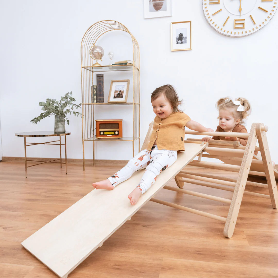 Ette Tete SIPITRI® 2 Segment Climbing Triangle With a Sliding/Climbing Ramp