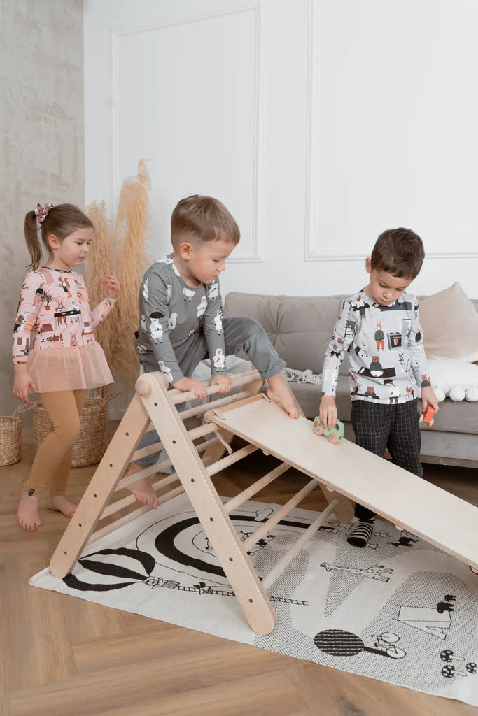 Ette Tete SIPITRI® 2 Segment Climbing Triangle With a Sliding/Climbing Ramp