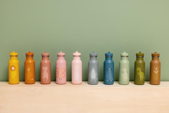 Stainless Steel Bottle 500 ml - Mrs. Butterfly