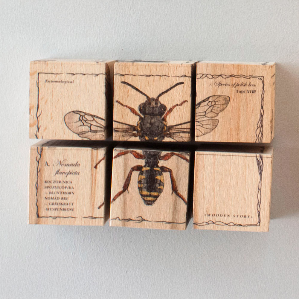 Wooden Blocks Bee Life - Species
