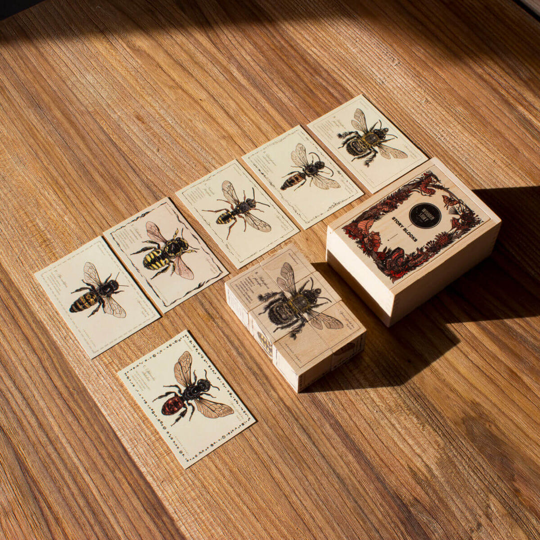Wooden Blocks Bee Life - Species