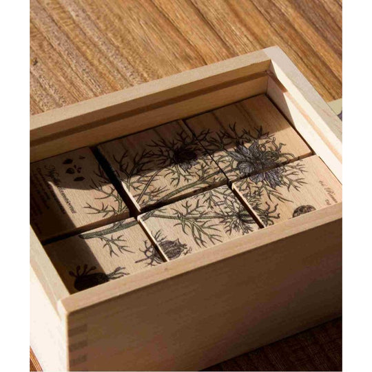 Wooden Blocks Bee Life - Honey Plants