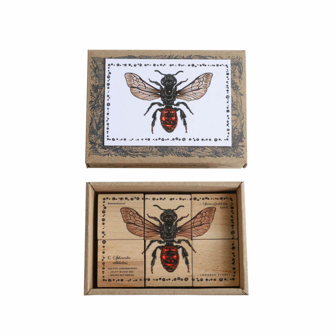 Wooden Blocks Bee Life - Species