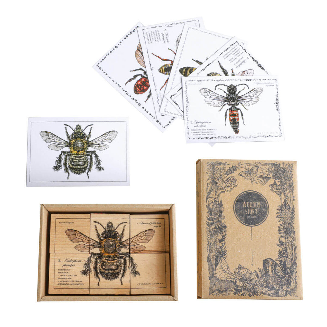 Wooden Blocks Bee Life - Species