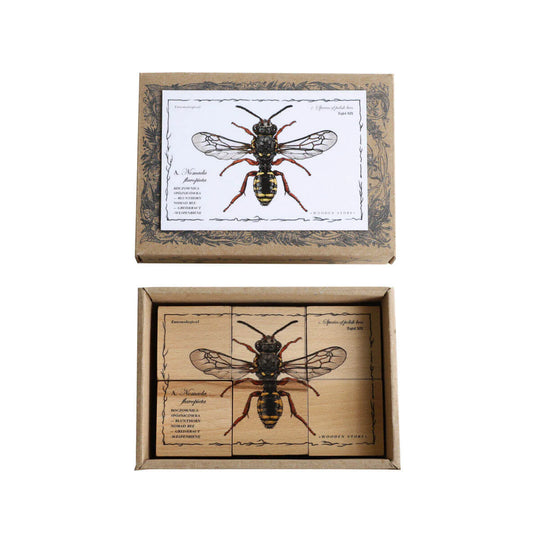 Wooden Blocks Bee Life - Species