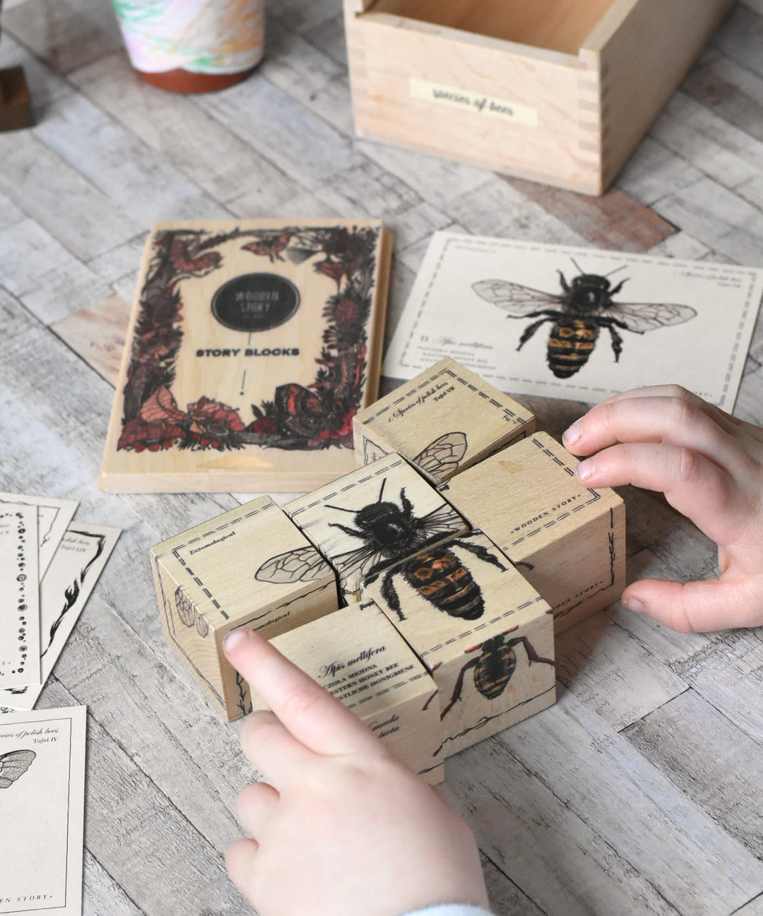 Wooden Blocks Bee Life - Species