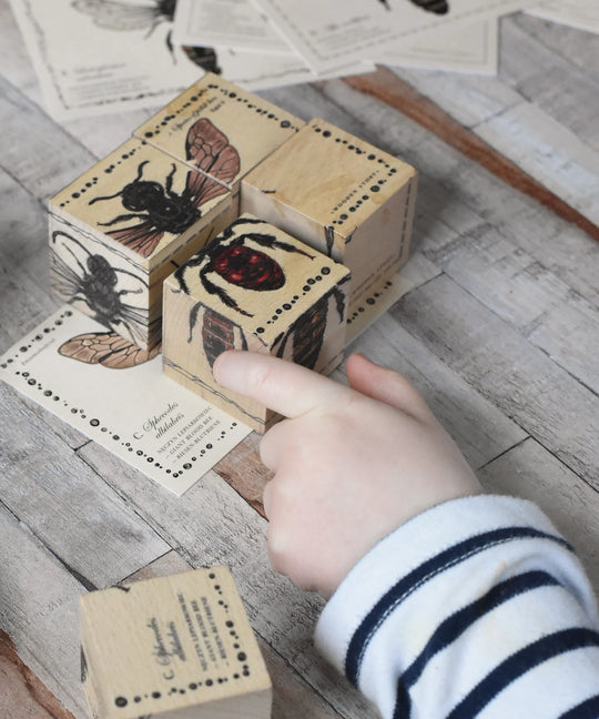 Wooden Blocks Bee Life - Species