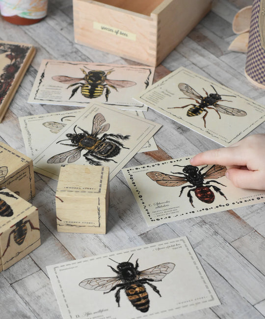 Wooden Blocks Bee Life - Species