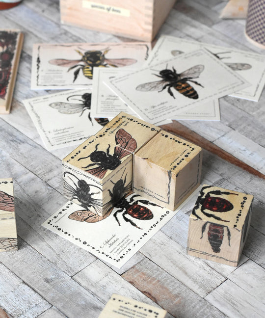 Wooden Blocks Bee Life - Species